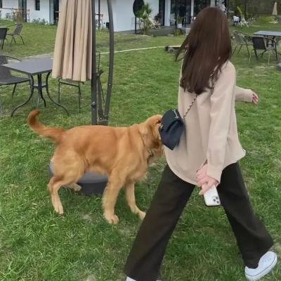 女士优先电影海报
